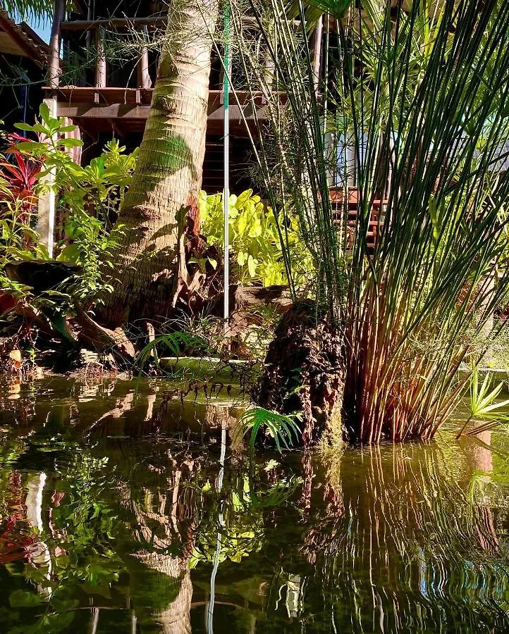 Resort Leaf House Bungalows Sha Plus Approved Koh Lanta